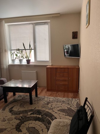 Однокомнатная квартира светлая и очень уютная - фото 1