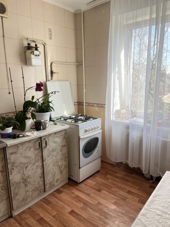 Оренда 1-о кімнатна м. Бориспіль, вулиця Нова, центр - фото 1