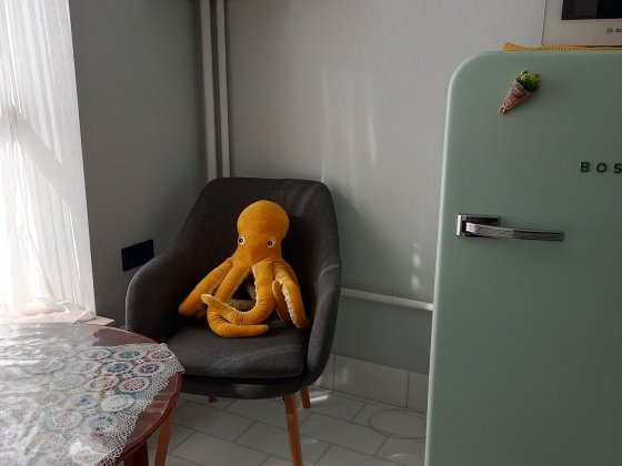 Аренда, однокімнатна квартира   4/5 Григорія Сковороди, Ірпінь Ирпень