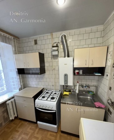 1-К Фурманова, Без животных - фото 1