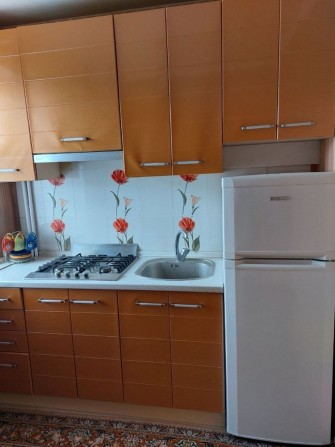 Оренда однокімнатноі квартири. Центр - фото 1