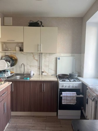 3-К Центр , можно животное - фото 1