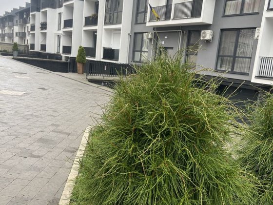 Оренда квартири біля Парку Боздош/Газ Ужгород