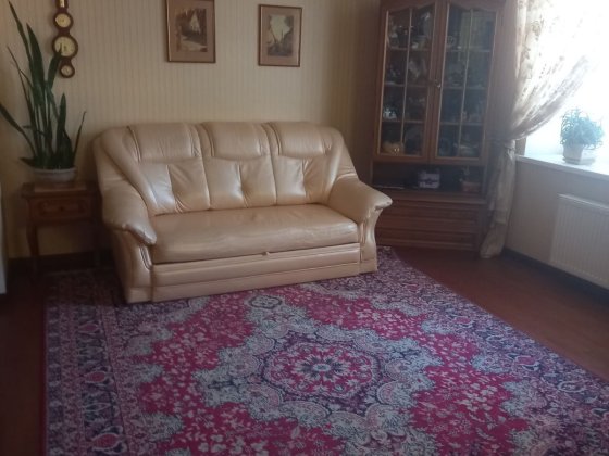 Здається в аренду 1 кімн. квартира в районі Шевченко-Пушкіна Черкассы