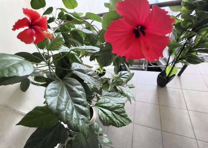 Минимум на месяц. Новострой. 1 к кв. Левый берег. Новый евро. - фото 1