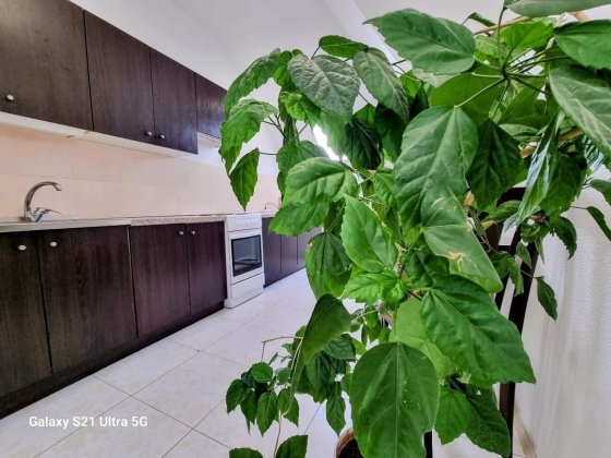 От месяца и дольше. Новострой. Левый берег Днепра. 1 к. кв. Днепр