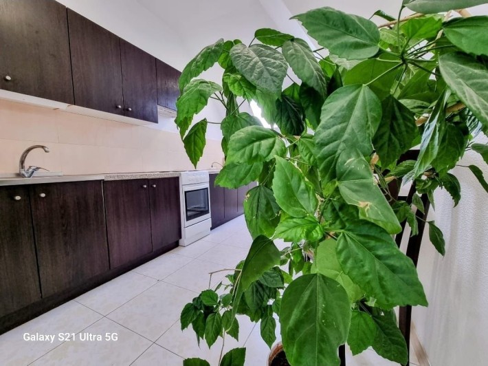 От месяца и дольше. Новострой. Левый берег Днепра. 1 к. кв. - фото 1