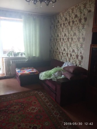 Здається 1к дендропарк - фото 1