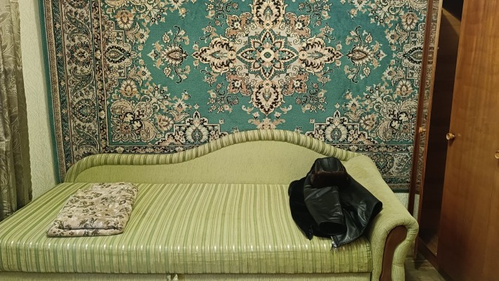 Здається з 24.03-1но к.кв Гостинка Виноградар Проспект Правди - фото 1