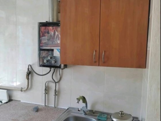 Здам в оренду 2-кім.квартиру на Замості!!!Можна з твариною!!! Винница