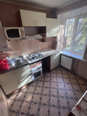 Аренда. Однокомнатная квартира. Дендропарк. - фото 1