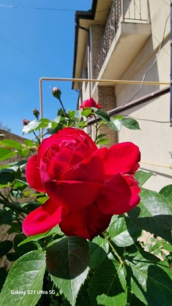 От месяца и дольше. Новострой. 1 к кв. Левый берег. Риелторы не звонит - фото 1