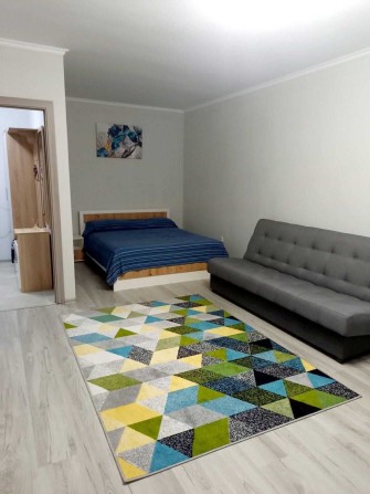 Оренда 1-к квартири на вул. Петра Панча - фото 1