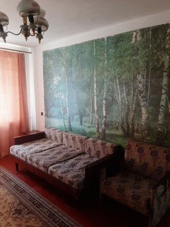 Здам квартиру 1-кімнатну - фото 1