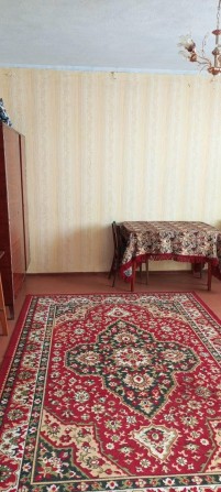 Здаю в оренду 2 кімнатну квартиру - фото 1