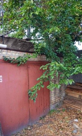 Гараж, ГК "Супутник" - фото 1