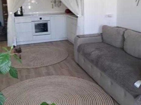 Аренда 1к квартиры Намыв (ривьера) Николаев