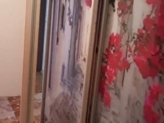 Супер!!! Сдам 1 кв м Масельского  пр. Александр. 5000+ к.у. Харьков