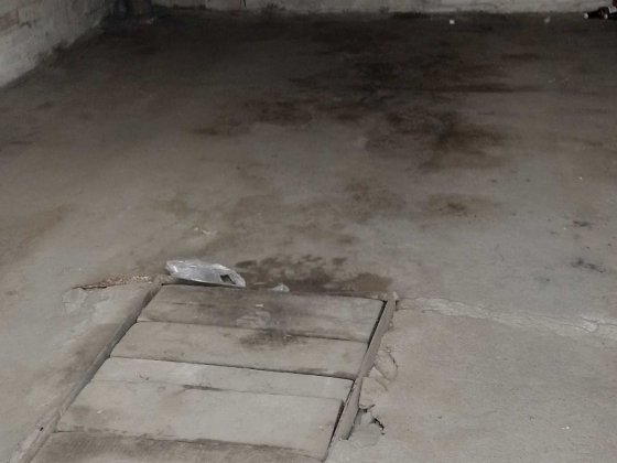 здам гараж кільце косіора