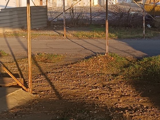 Сдам в аренду парко место