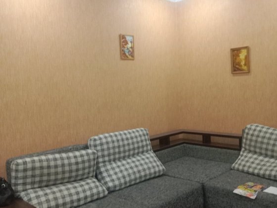 2комн сталинка АО р-н ДК Горького ремонт, мебель, техника + гараж Кам'янське