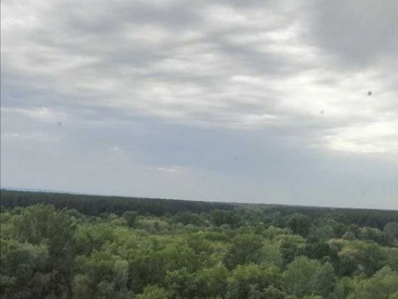 Продам 2 кім. кв-ру Кам'янське. Лівобережний 11 район. З видом на ліс. Кам'янське