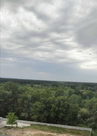 Продам 2 кім. кв-ру Кам'янське. Лівобережний 11 район. З видом на ліс. - фото 1