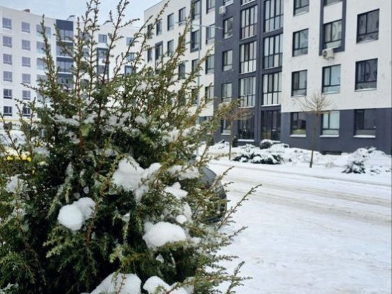 Квартира-студія. Житловий тариф. Комун заведені. Без комісії% Гостомель