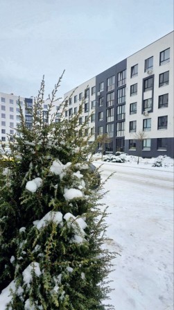 Квартира-студія. Житловий тариф. Комун заведені. Без комісії% - фото 1