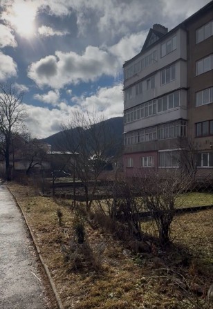 Квартира у центрі Міжгірʼя - фото 1