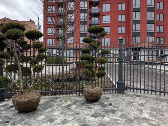 Продаж 1 к.квартири ,ЖК  «Європейські Липки», с . Святопетрівське Святопетрівське