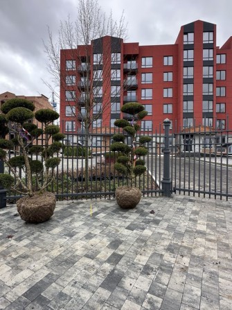 Продаж 1 к.квартири ,ЖК  «Європейські Липки», с . Святопетрівське - фото 1