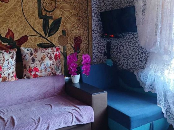 1-Кімната квартира в центрі Миронівки Мироновка