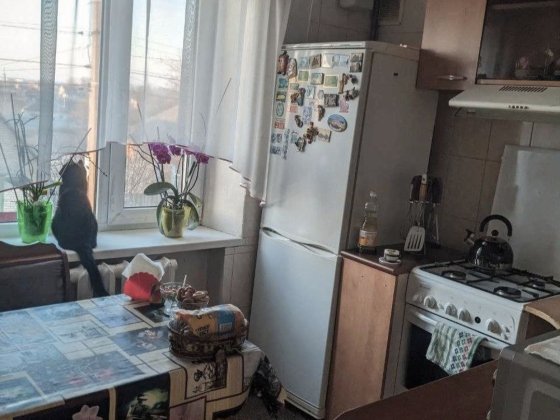 2к Квартира в центрі міста Димер