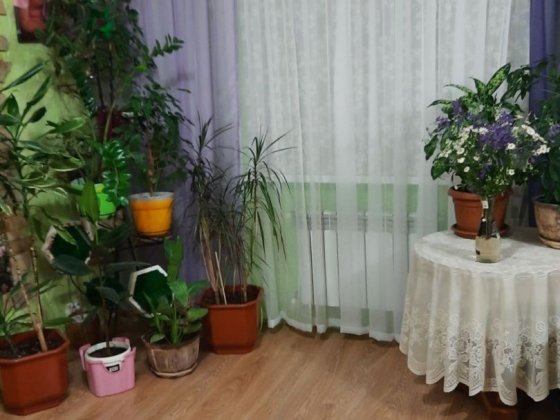 Продається квартира Гнатовка