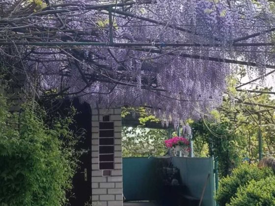 Предлагается к продаже дом.Село:Граденицы Беляевка