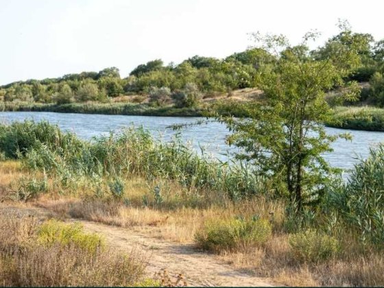 Квартира 65м² з видом на Лиман!  КМ Липовий Гай. Прилиманське.Є-оселя! Прилиманское