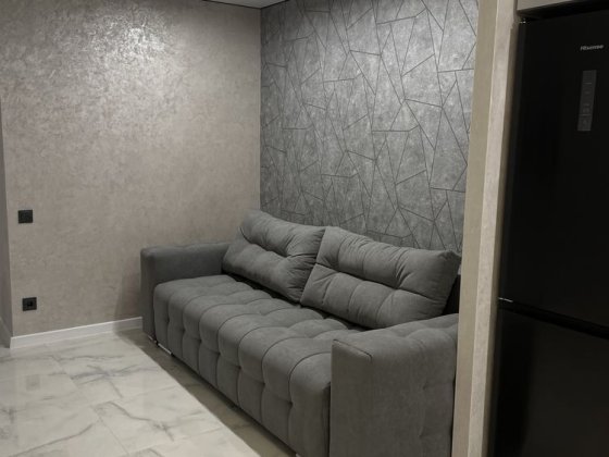 1,5 кімнатна квартира на Бамі Гаи-Гречинские