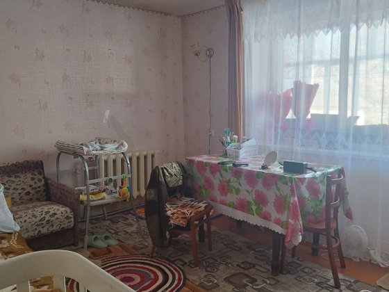 Продається 1 квартира в Ріпках Ріпки