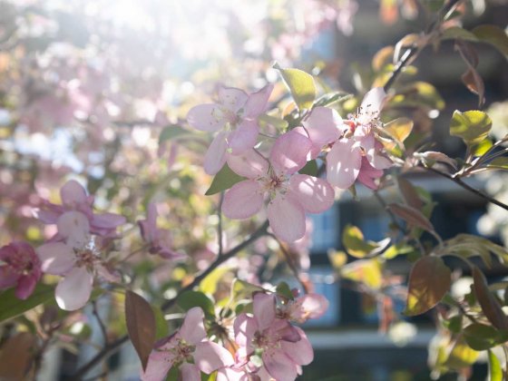 Ірпінь — 2к квартира від забудовника Акційна розстрочка. Synergia City Ирпень