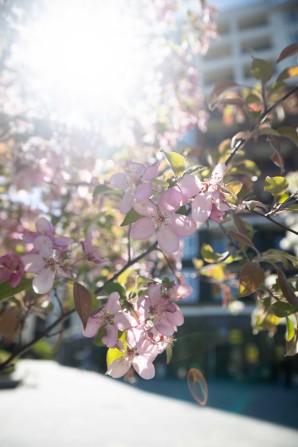 Ірпінь — 2к квартира від забудовника Акційна розстрочка. Synergia City - фото 1