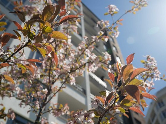 Ірпінь 1к квартира за 42 250 грн/міс. Розстрочка на 2 роки | гарний ЖК Ірпінь