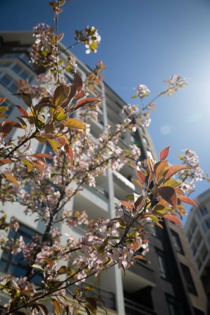 Ірпінь 1к квартира за 42 250 грн/міс. Розстрочка на 2 роки | гарний ЖК - фото 1