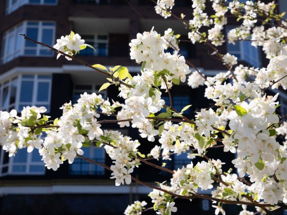 Продам квартиру під виплату. Перший внесок 40%. Платіж 38 949 грн/міс Ірпінь