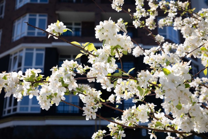 Продам квартиру під виплату. Перший внесок 40%. Платіж 38 949 грн/міс - фото 1