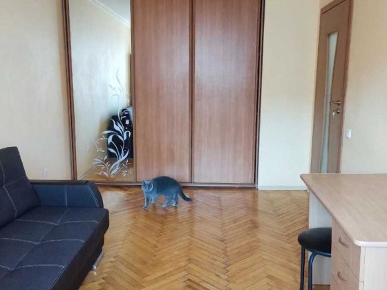 Власник.Однокімнатна квартира з євроремонтом та меблями, вул.Львівська Луцк