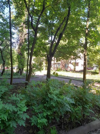 2кімнатна сталінка на 97 кварталі під бізнес і житло. - фото 1