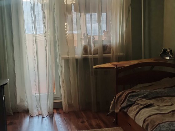 Продам 3-комнатную квартиру Монастырская (Фрунзе) Кривой Рог