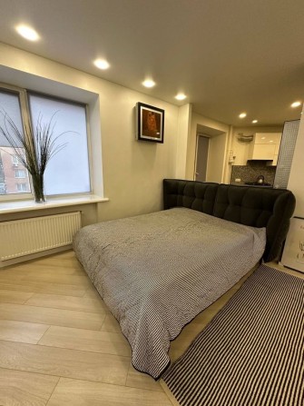 Однокімнатна з ремонтом! Центральний парк! Є балкон! - фото 1