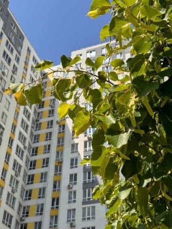 Видова 3-к поруч з лісом. Мінімальне оформлення, єоселя, сертифікат - фото 1